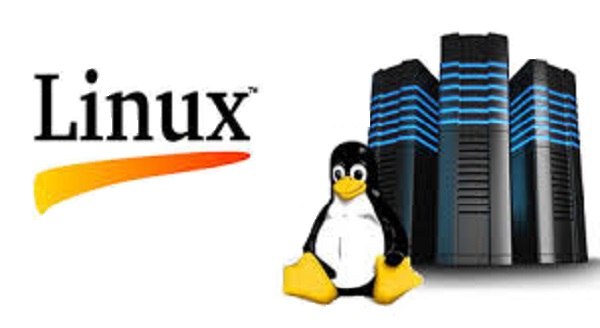 6 razones por las que a las empresas les puede convenir un hosting con sistema operativo Linux